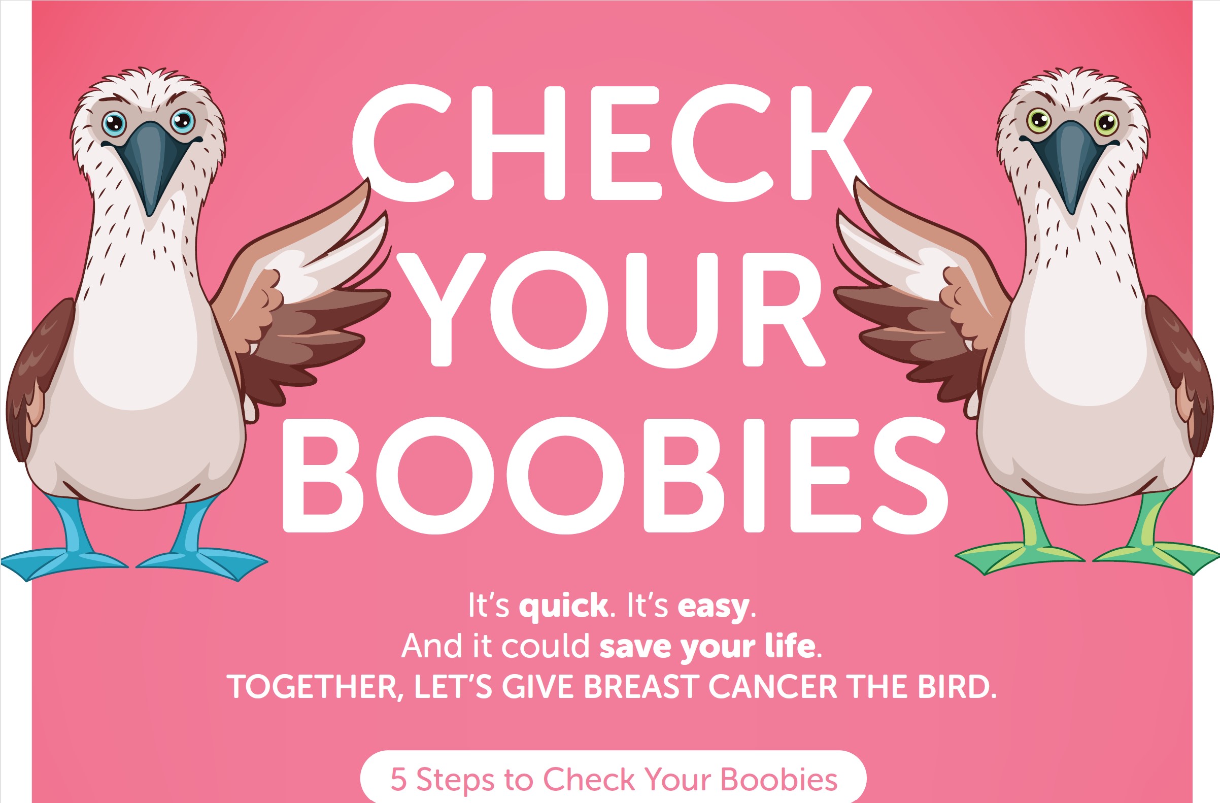 Project Pink Breast Check Kit