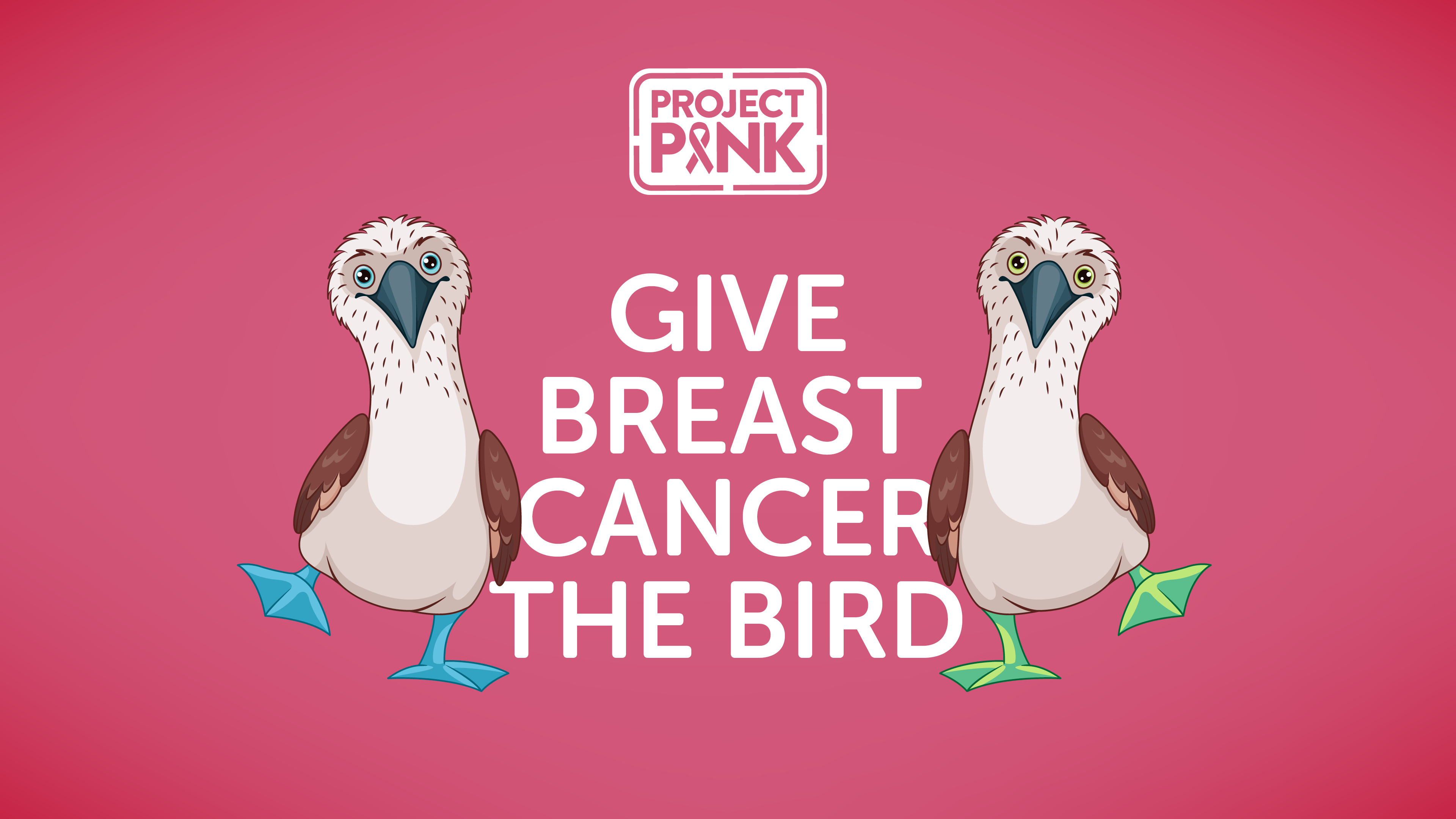 Booby Bird Wallpaper